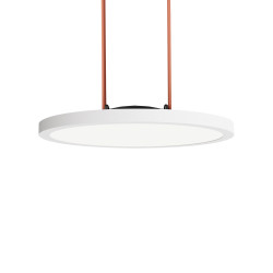 DK5566-WH+BK Cветильник для трека-ремня Belty, серия Flow, со светодиодом, D168*H29.5мм, 48V DC, 10W, RA90, 120°, 4000K, IP20, белый с черным, алюминий